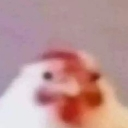 chick_brehhhh Emote