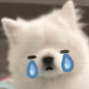 CryingDog emote