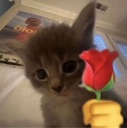 emoji_16 Emote