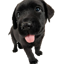 mlep emote