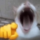 799052jaja emote