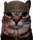 soldjacat emote