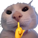 emoji_52 emote