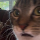 bellahuh Emote
