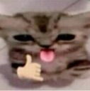 __ Emote