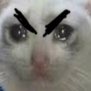 angerycat emote