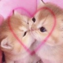 Emely Emote