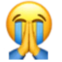 OMG emote