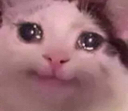 Xieron_stolen_emoji_1779016272 emote