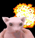 Bangus emote