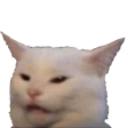catstare emote