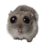 pipipi emote