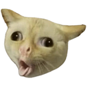 8479pukecat emote
