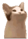 emoji_134 Emote