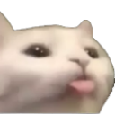 catblep emote