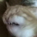 cringe Emote