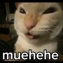 emoji_110 Emote
