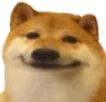 dogesmile Emote