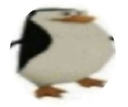 Screenshot________com Emote