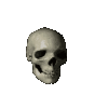 SpinningSkull emote