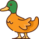 duck_brown emote