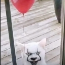 look_at_ur_window emote