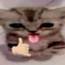 yass emote