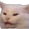 CatEw emote