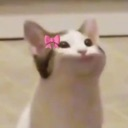 __ Emote