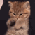 bored_1 emote