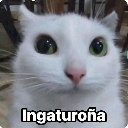 ingaturoa emote