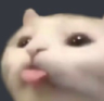 bleh_haveli emote