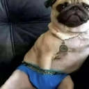 emoji_23 Emote