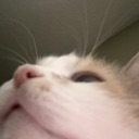 89315whatisaboveme emote