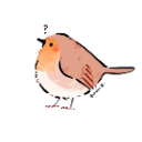 Birb emote