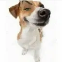 woman emote