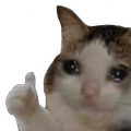 catthumb emote