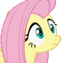 FlutterWhatJustHappened emote