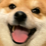 mdoghappy emote