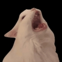 bagadbilla Emote