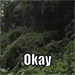 4545575457575454971 Emote