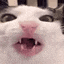 45056munch Emote