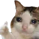 NekoCryUp emote