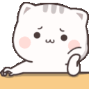 mochicat emote