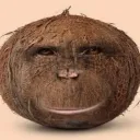 Nut_inside_me emote