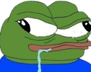 p_1dumb emote