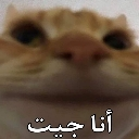 emoji_53 Emote
