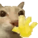 mrwavey emote
