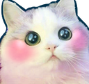 emoji_1764265761938 Emote
