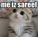 tmr_me_iz_sareef Emote